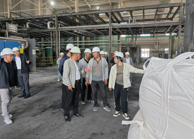 茫崖市委市政府莅临锦泰矿区实地调研指导锦泰各方面工作